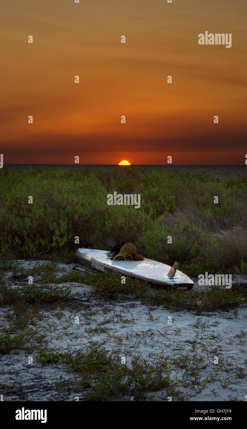 Un paddleboard repose sur une plage éloignée dans les Dix Mille-Îles, au large de la côte du golfe de Floride du sud. Banque D'Images Un paddleboard repose sur une plage éloignée dans les Dix Mille-Îles, au large de la côte du golfe de Floride du sud. Banque D'Images