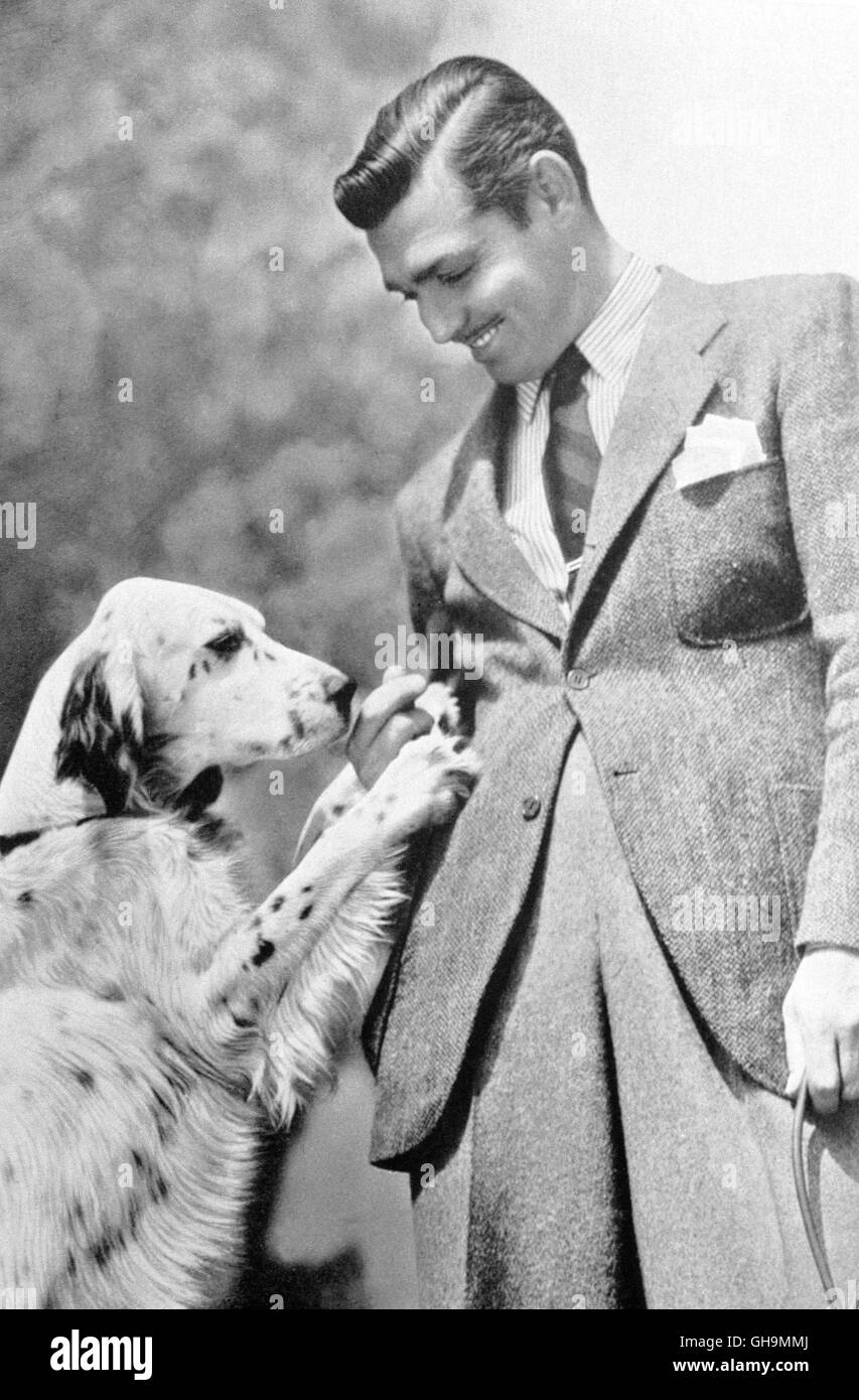 CLARK GABLE CLARK GABLE (mit hund), Portrait um 1936. Banque D'Images