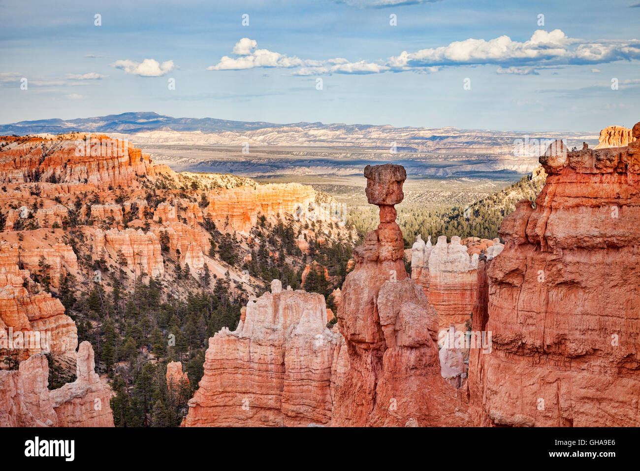 Le marteau de Thor, Bryce Canyon National Park, Utah, USA Banque D'Images