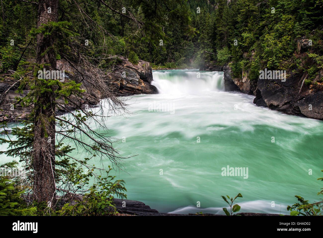 Overlander Falls, le parc provincial du mont Robson, British Columbia, Canada Banque D'Images