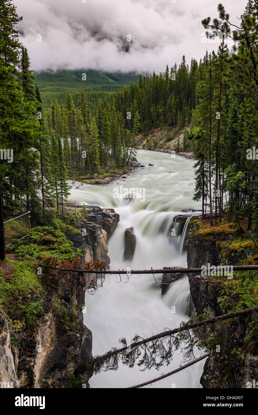 Les chutes Sunwapta, Jasper National Park, Alberta, Canada Banque D'Images