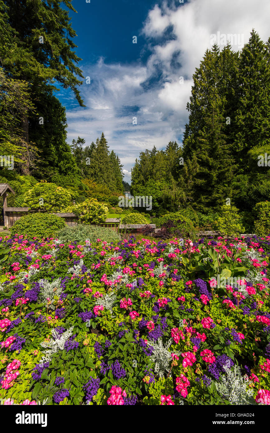 Les Butchart Gardens, Victoria, Colombie-Britannique, Canada Banque D'Images