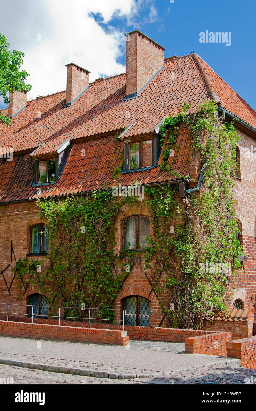 Ancien bâtiment de lierre sur le mur dans le château inférieur dans Malbork. Pologne Banque D'Images