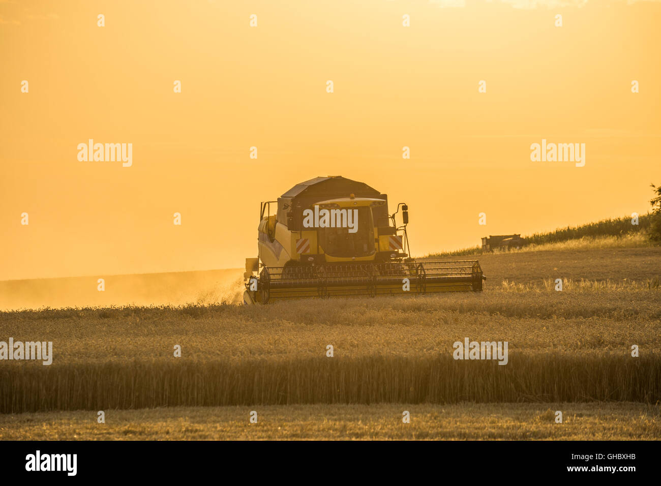 L'agriculture, la moissonneuse-batteuse pendant la récolte dans la soirée, quartier administratif Wolfenbuettel, Basse-Saxe, Editorial-Use-seulement Banque D'Images