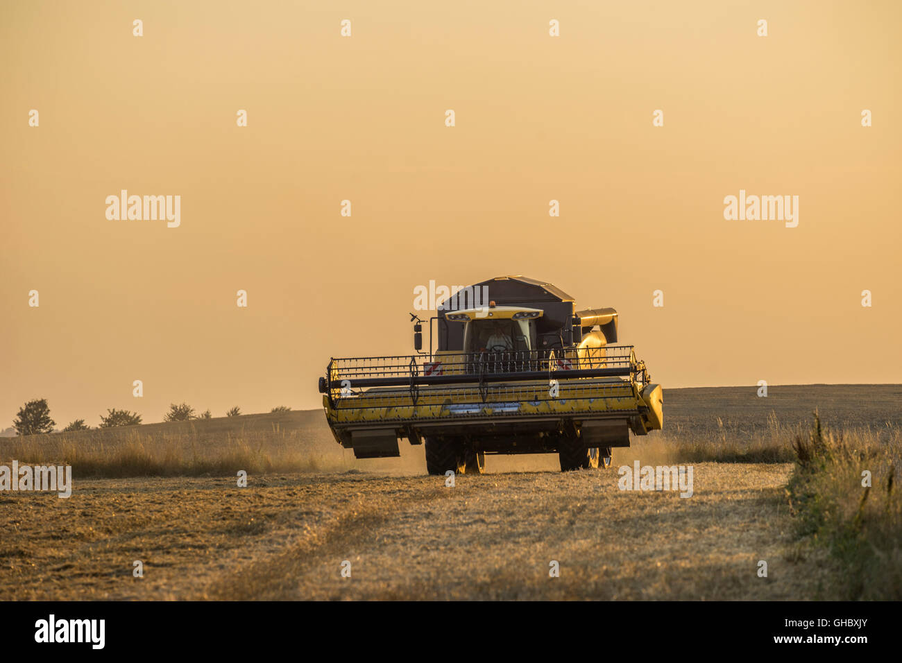 L'agriculture, la moissonneuse-batteuse pendant la récolte dans la soirée, quartier administratif Wolfenbuettel, Basse-Saxe, Editorial-Use-seulement Banque D'Images