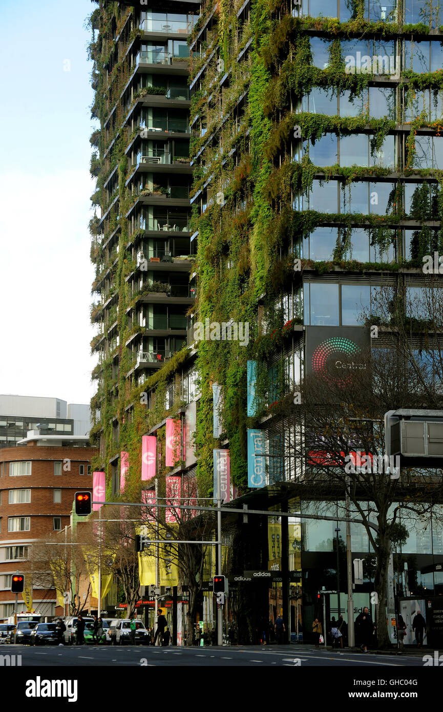 Jardin Vertical sur une tour de Sydney à la Place Verte Banque D'Images