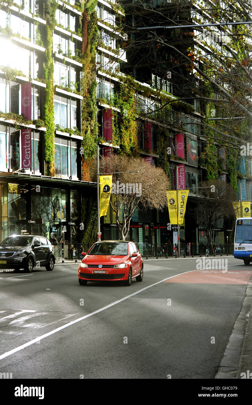 Jardin Vertical sur une tour de Sydney à la Place Verte Banque D'Images