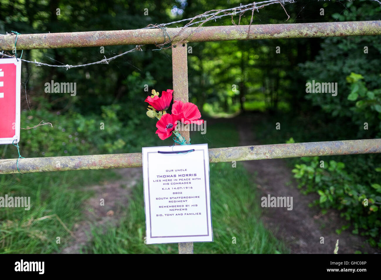Un mémorial personnels à des Bois, Bazentin-le-Petit, la France à Thomas Morris, de la South Staffordshire Regiment. Banque D'Images