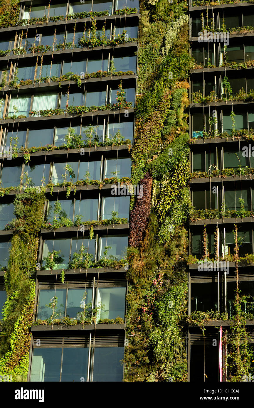 Jardin Vertical sur une tour de Sydney à la Place Verte Banque D'Images