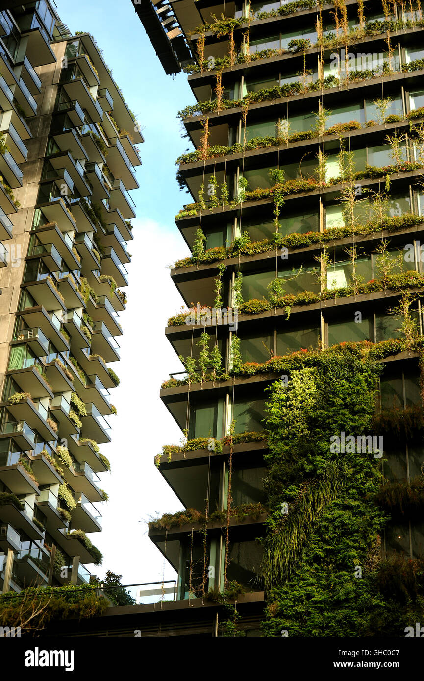 Jardin Vertical sur une tour de Sydney à la Place Verte Banque D'Images