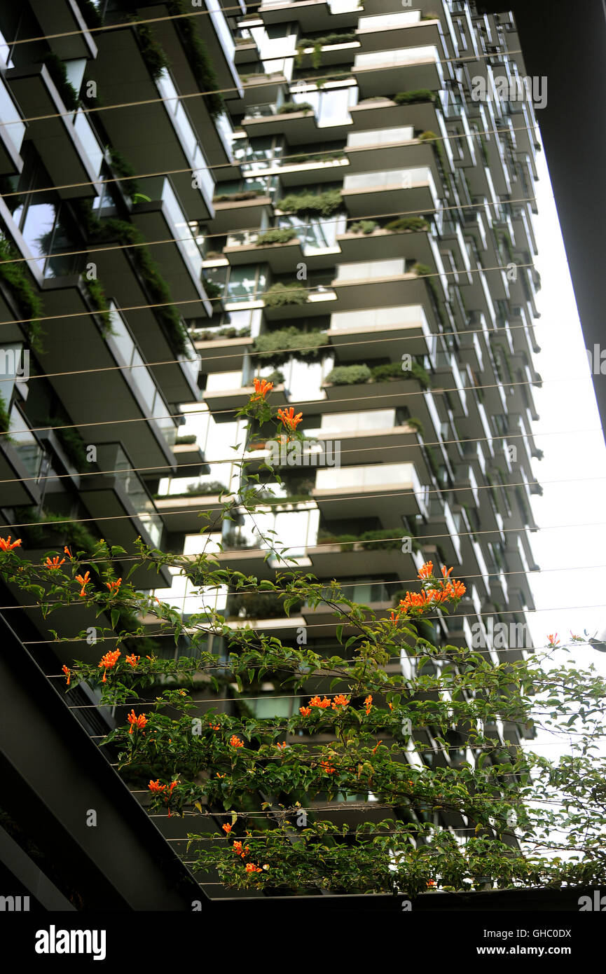 Jardin Vertical sur une tour de Sydney à la Place Verte Banque D'Images