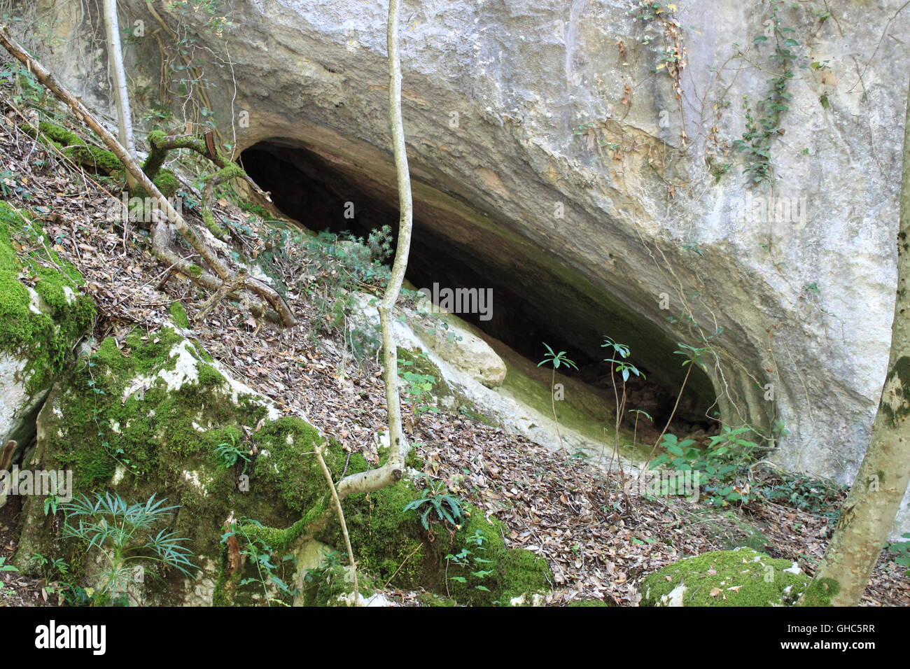 Entrée d'une grotte Banque D'Images