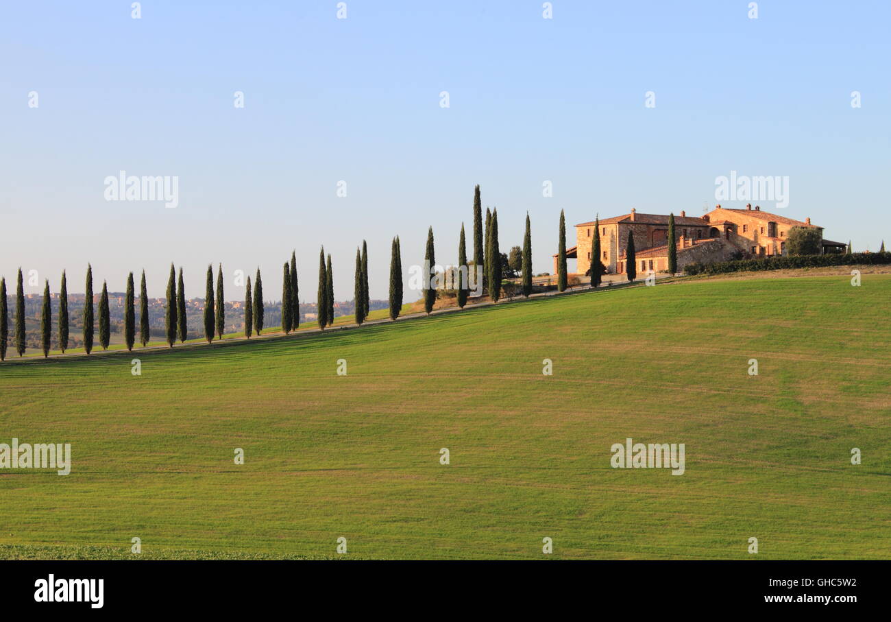 Paysage de Toscane avec des olivaies et villa de luxe Banque D'Images