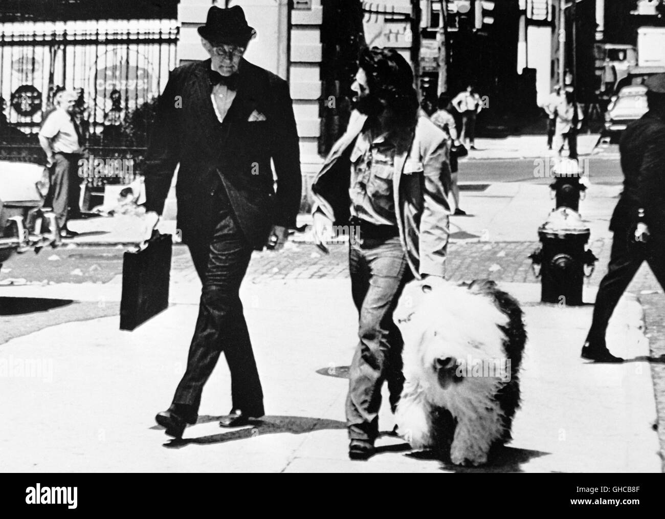 SERPICO USA 1973 Sidney Lumet Al Pacino (Frank Serpico) avec chien Bobtail Regie : Sidney Lumet Banque D'Images