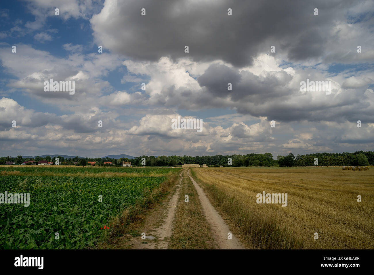 La saleté route droite entre des champs ciel nuageux Basse Silésie Pologne Banque D'Images