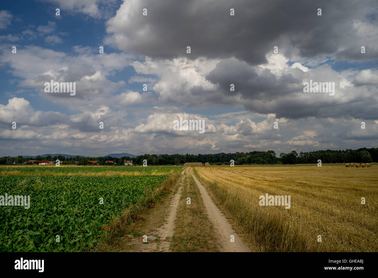 La saleté route droite entre des champs ciel nuageux Basse Silésie Pologne Banque D'Images