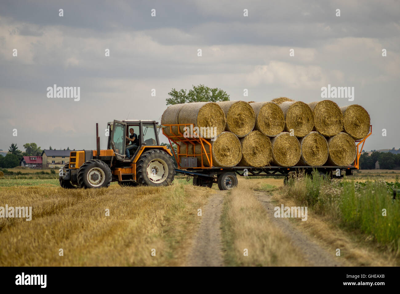 Tracteur avec une remorque pleine de bottes de paille Basse Silésie Pologne Banque D'Images