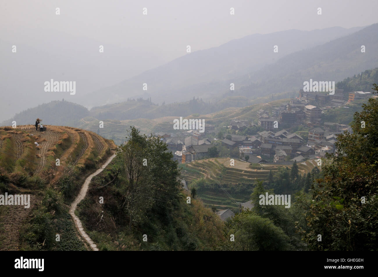 Terrasses de Ping'an, Longsheng, Guangxi, Chine en automne Banque D'Images