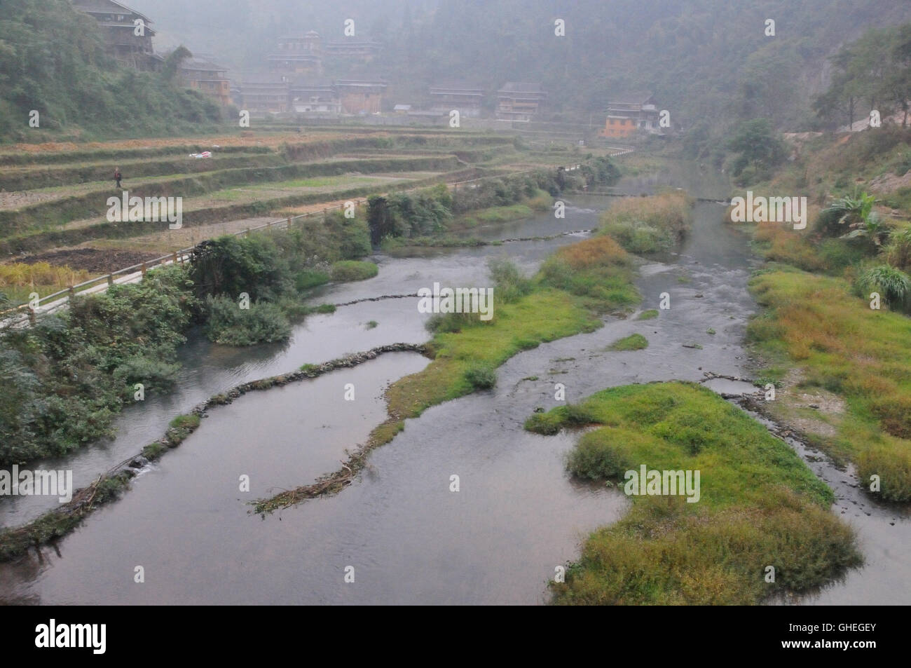 Champs le long de la rivière à Chengyang Qiao dans le Guangxi, Chine Banque D'Images