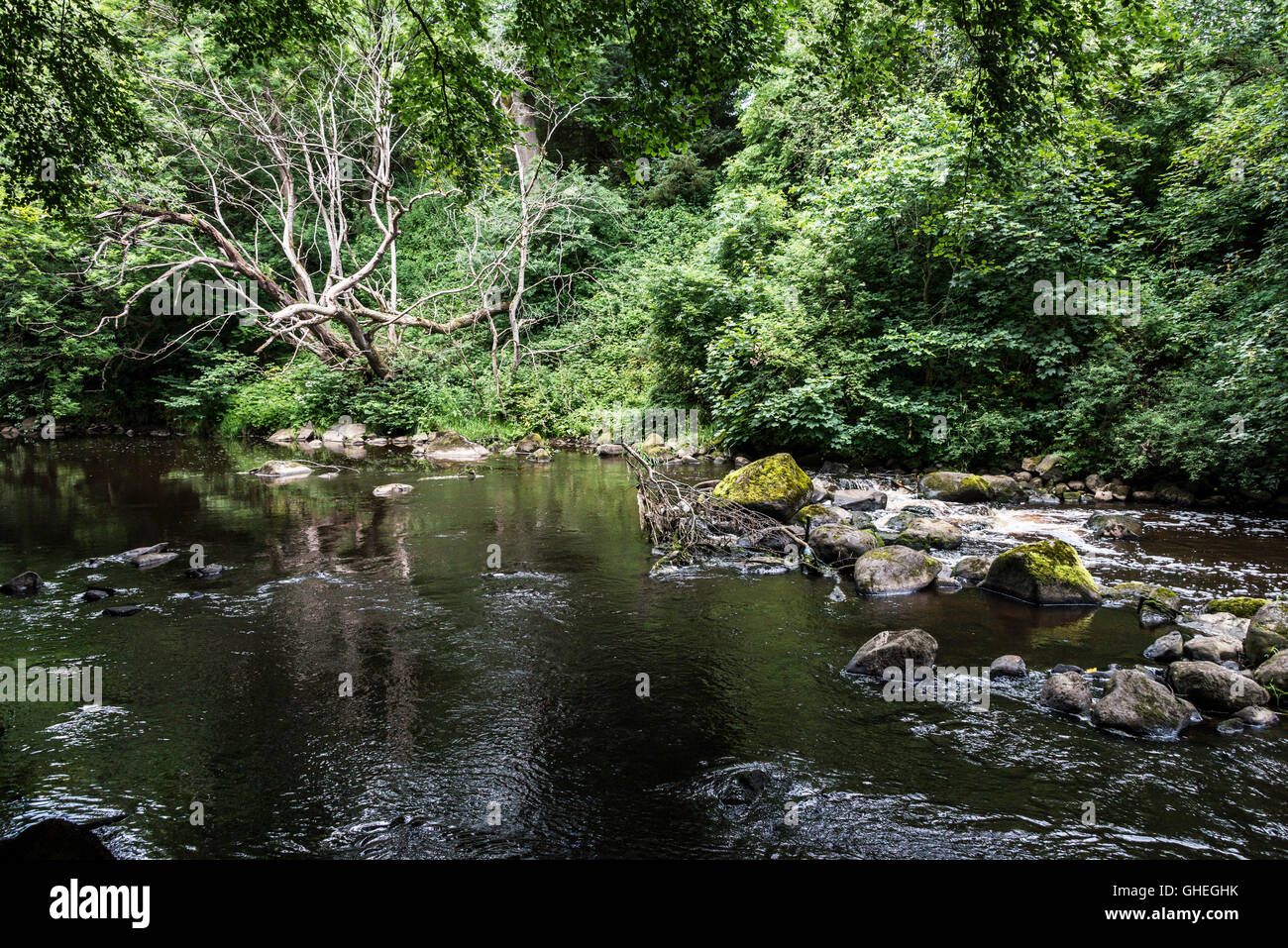 La rivière, d'amande, en Écosse Banque D'Images