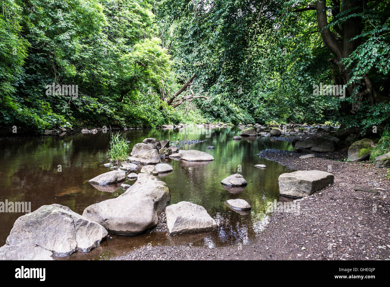 Les roches dans la rivière de l'amande, Livingston, en Écosse Banque D'Images