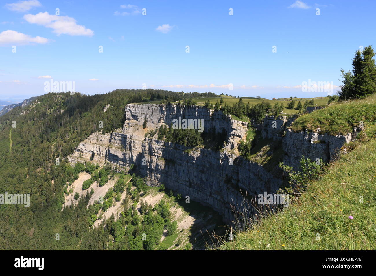 van suisse