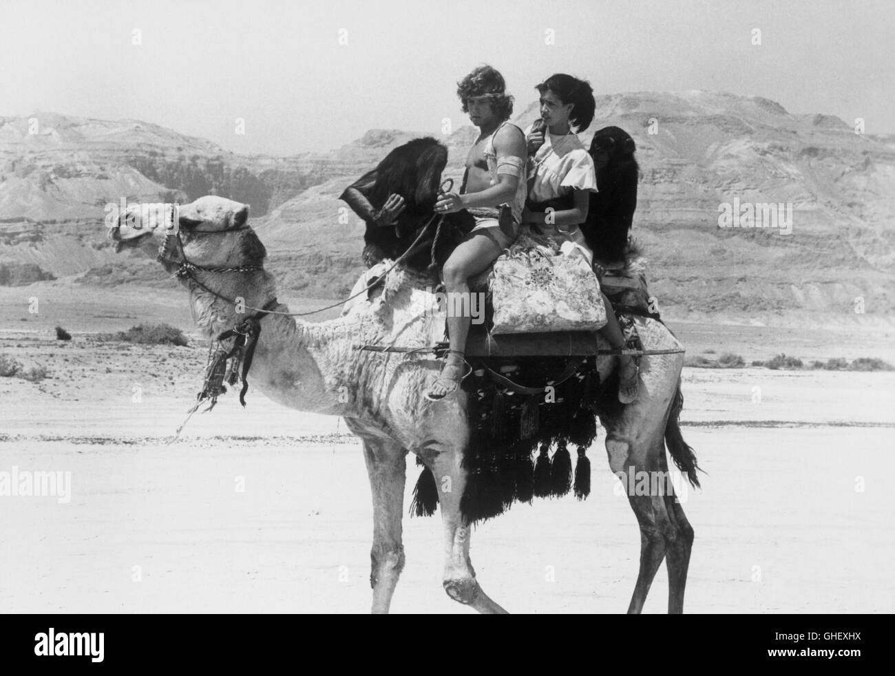 PARADISE CANADA 1982 Stuart Gillard David (Willie) Stéphane Guillon et Sarah (PHOEBE CATES) fuir leur désert hideaway lorsqu'un cheik en maraude, courbé sur la capture de la belle fille, les voies vers le bas. Regie : Stuart Gillard Banque D'Images