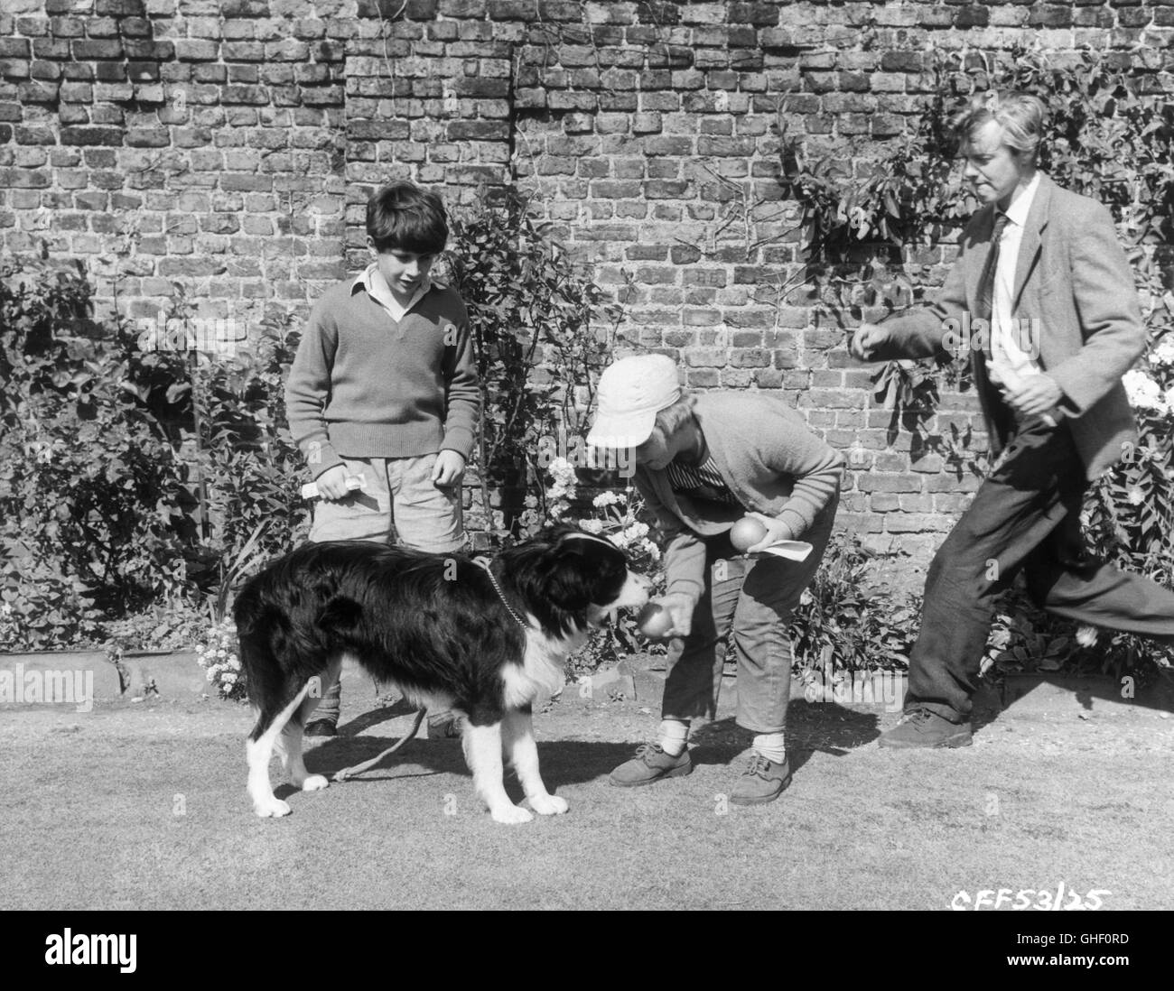 Le MYSTÈRE DANS LA MINE UK 1959 James Hill PETER COPLEY (young Tom) et Ingrid CARDON (jeune Jane) avec chien et exécutant Howard Greene. Regie : James Hill Banque D'Images