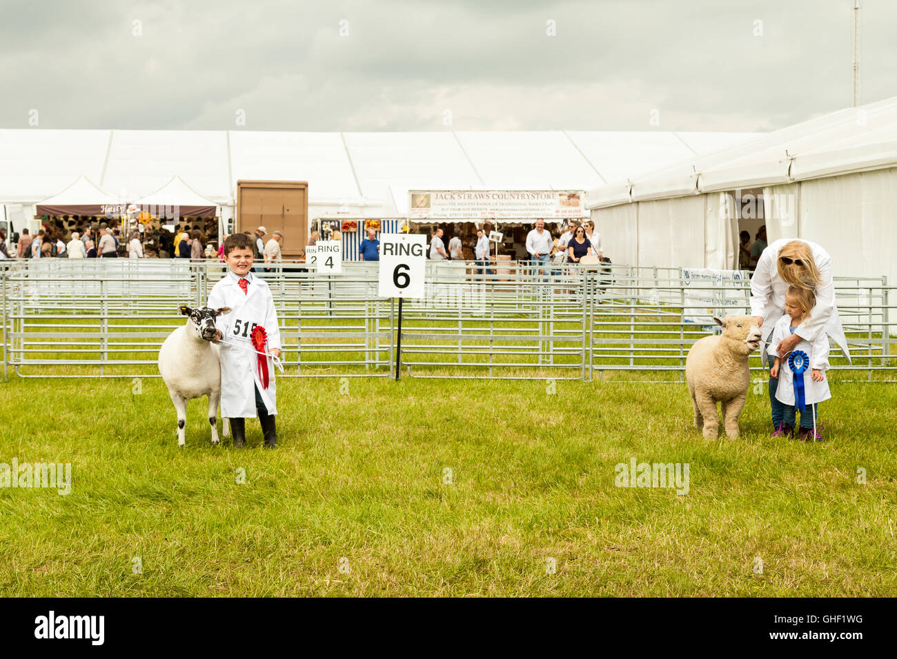 Un jeune garçon et fille sont gagnants avec leurs moutons dans l'évaluation de la bague à Cheshire comté show UK 2016 Banque D'Images