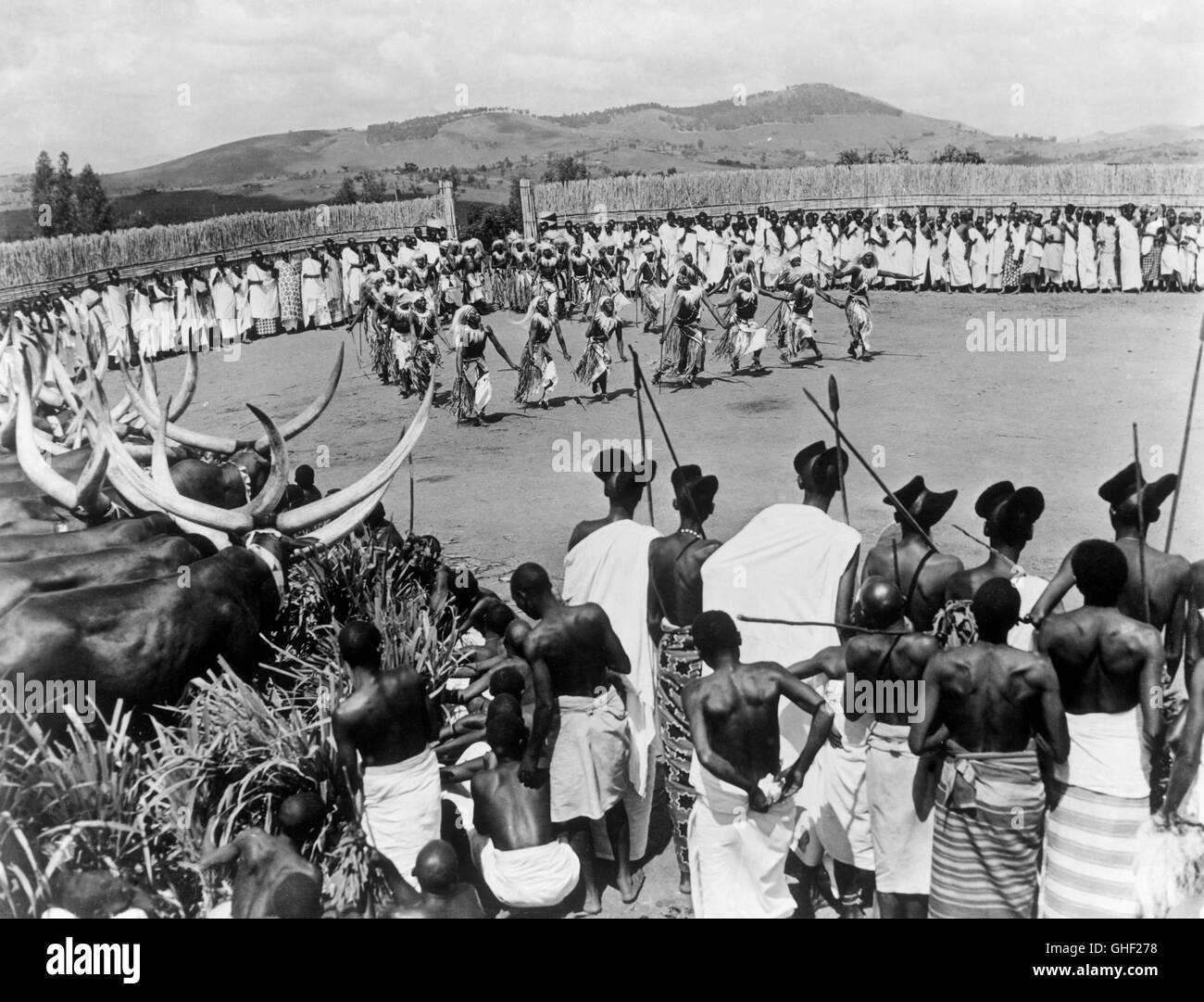 MINES DU ROI SALOMON USA 1950 C. Bennett, A. Marton scène de danse  autochtones en Afrique. Regie : C. Bennett, A. Marton Photo Stock - Alamy