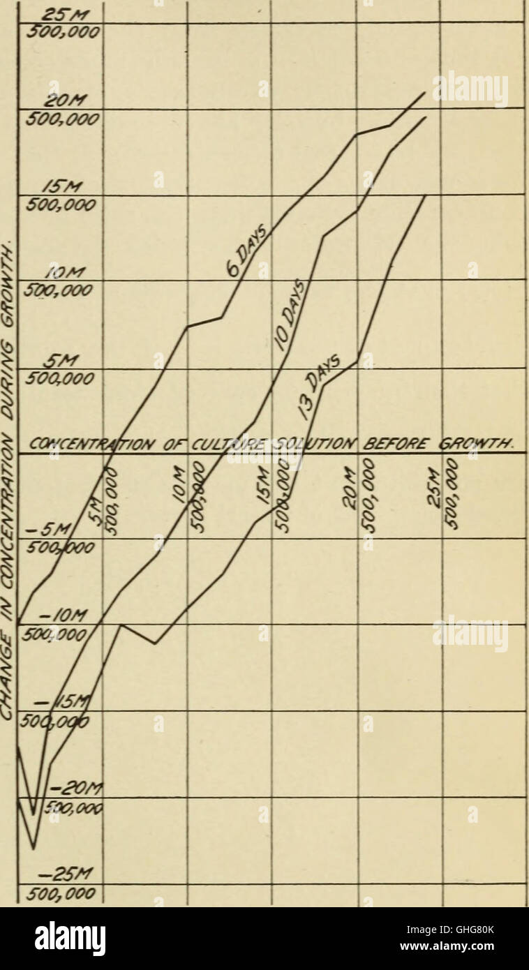 Cette étude de 1912 examine comment les racines des plantes absorbent et excrètent les sels, en mettant l'accent sur l'impact des différentes concentrations et compositions des solutions de culture sur la santé et la croissance des plantes. Banque D'Images
