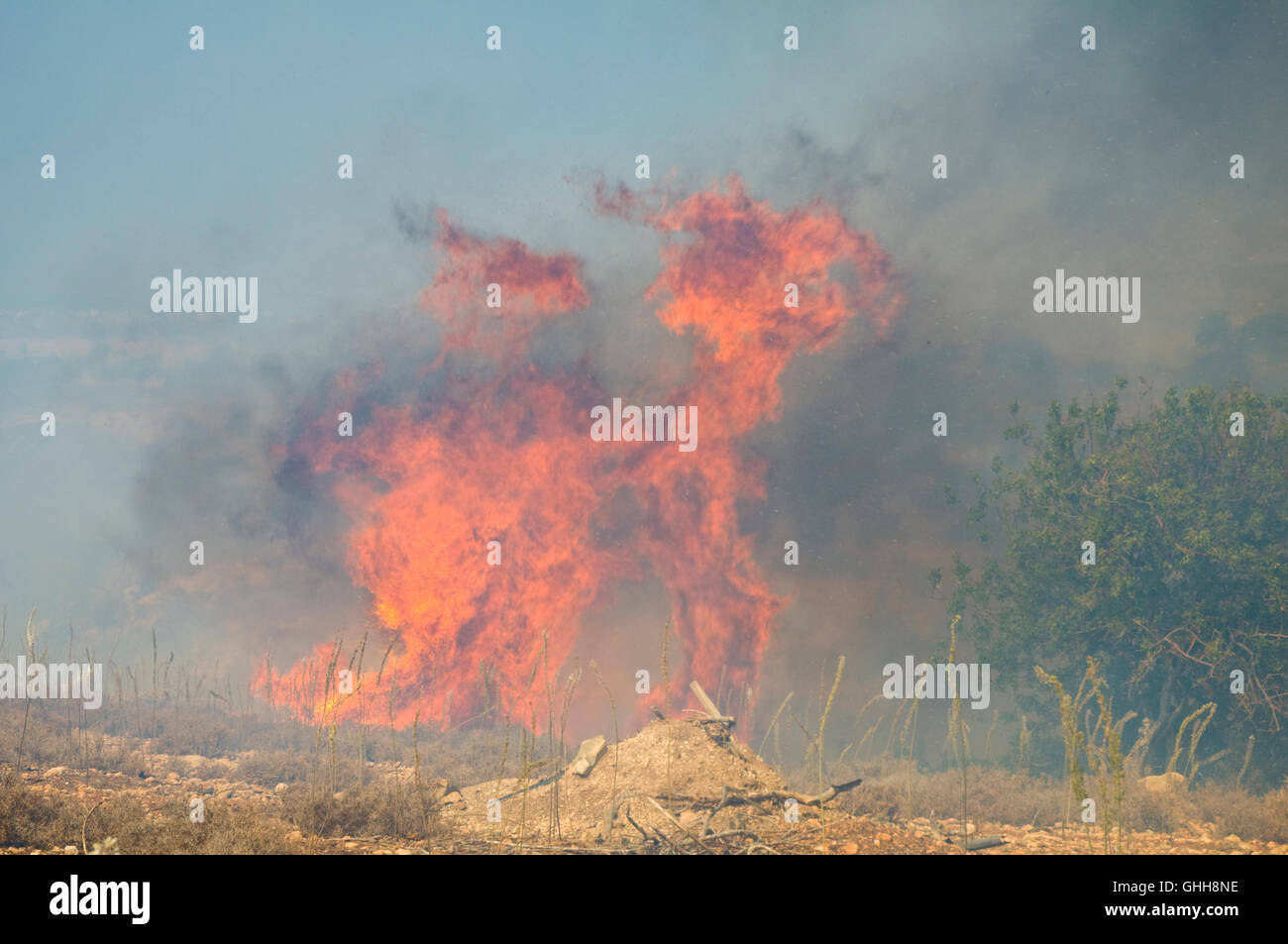 Peyia, Paphos, Chypre. 28 Septembre, 2016. Incendie s'est déclaré aujourd'hui sur une colline près de Peyia, Paphos, Chypre et s'est propagé rapidement dans les vents forts. Il y avait beaucoup de fumée et des biens ont été en danger. Les pompiers pourraient contenir que du périmètre pour ralentir la propagation. L'incendie a brûlé après deux heures, a été étouffé par l'eau de l'hélicoptère à la bombe. Credit : Duncan Anderson/Alamy Live News Banque D'Images