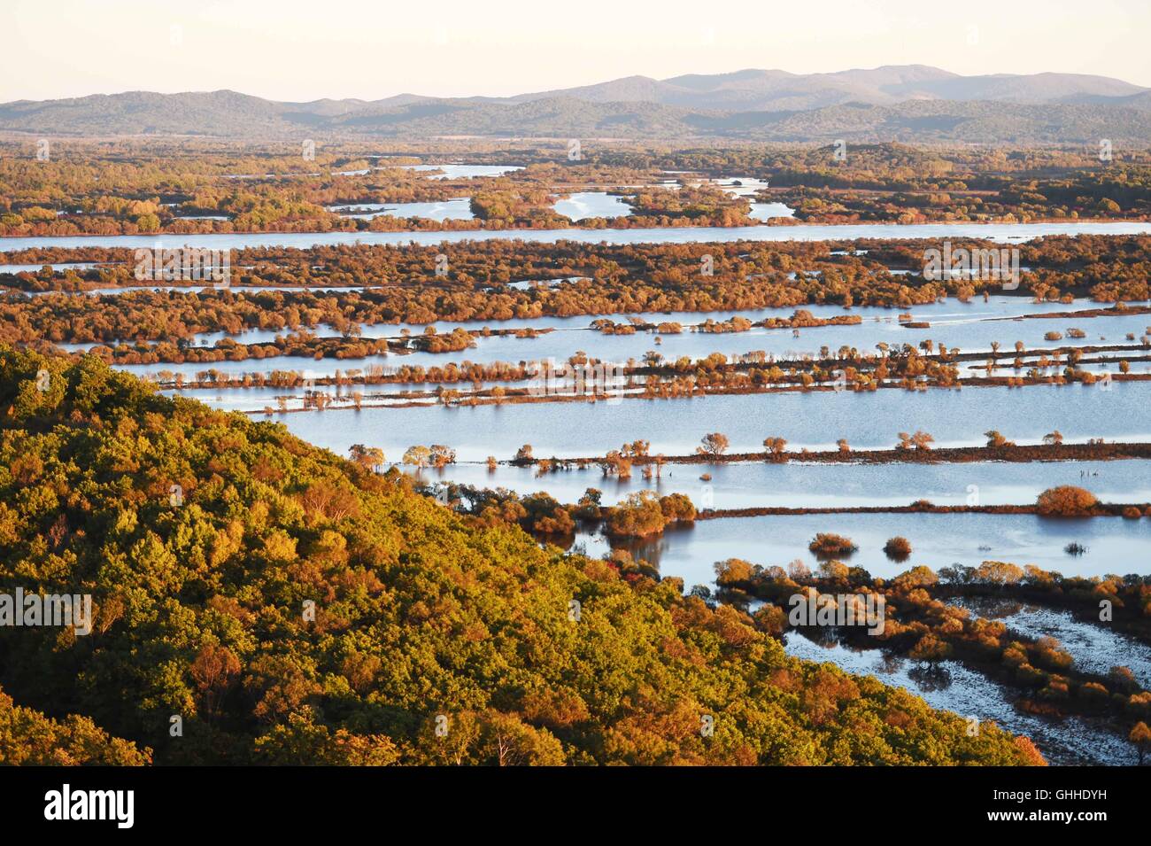 Hulin. 28 Sep, 2016. Photo prise le 28 septembre 2016 présente le paysage de la zone humide de l'Île Zhenbao Hulin, au nord-est de la province de la Chine. Les 29 275 hectares de zone humide a été désignée comme zone humide d'importance internationale par la Convention de Ramsar en 2011 pour son importance vitale, car c'est un marais unique pour la diversité biologique. © Wang Jianwei/Xinhua/Alamy Live News Banque D'Images