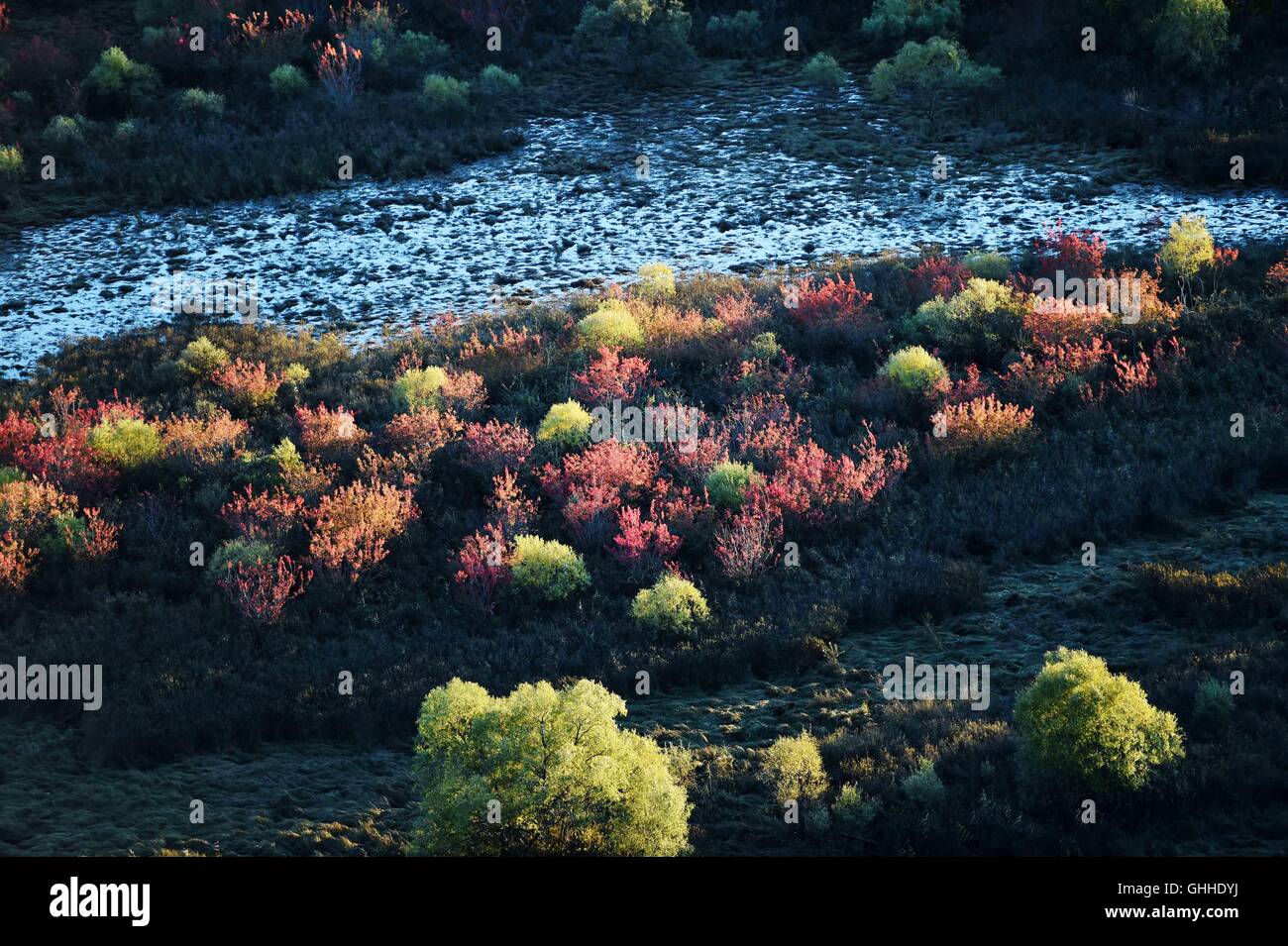 Hulin. 28 Sep, 2016. Photo prise le 28 septembre 2016 présente le paysage de la zone humide de l'Île Zhenbao Hulin, au nord-est de la province de la Chine. Les 29 275 hectares de zone humide a été désignée comme zone humide d'importance internationale par la Convention de Ramsar en 2011 pour son importance vitale, car c'est un marais unique pour la diversité biologique. © Wang Jianwei/Xinhua/Alamy Live News Banque D'Images