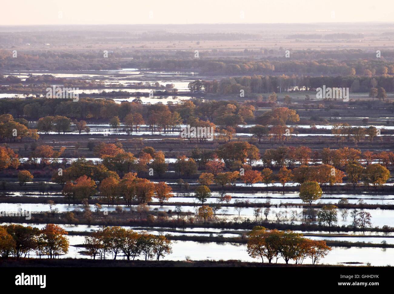 Hulin. 28 Sep, 2016. Photo prise le 28 septembre 2016 présente le paysage de la zone humide de l'Île Zhenbao Hulin, au nord-est de la province de la Chine. Les 29 275 hectares de zone humide a été désignée comme zone humide d'importance internationale par la Convention de Ramsar en 2011 pour son importance vitale, car c'est un marais unique pour la diversité biologique. © Wang Jianwei/Xinhua/Alamy Live News Banque D'Images