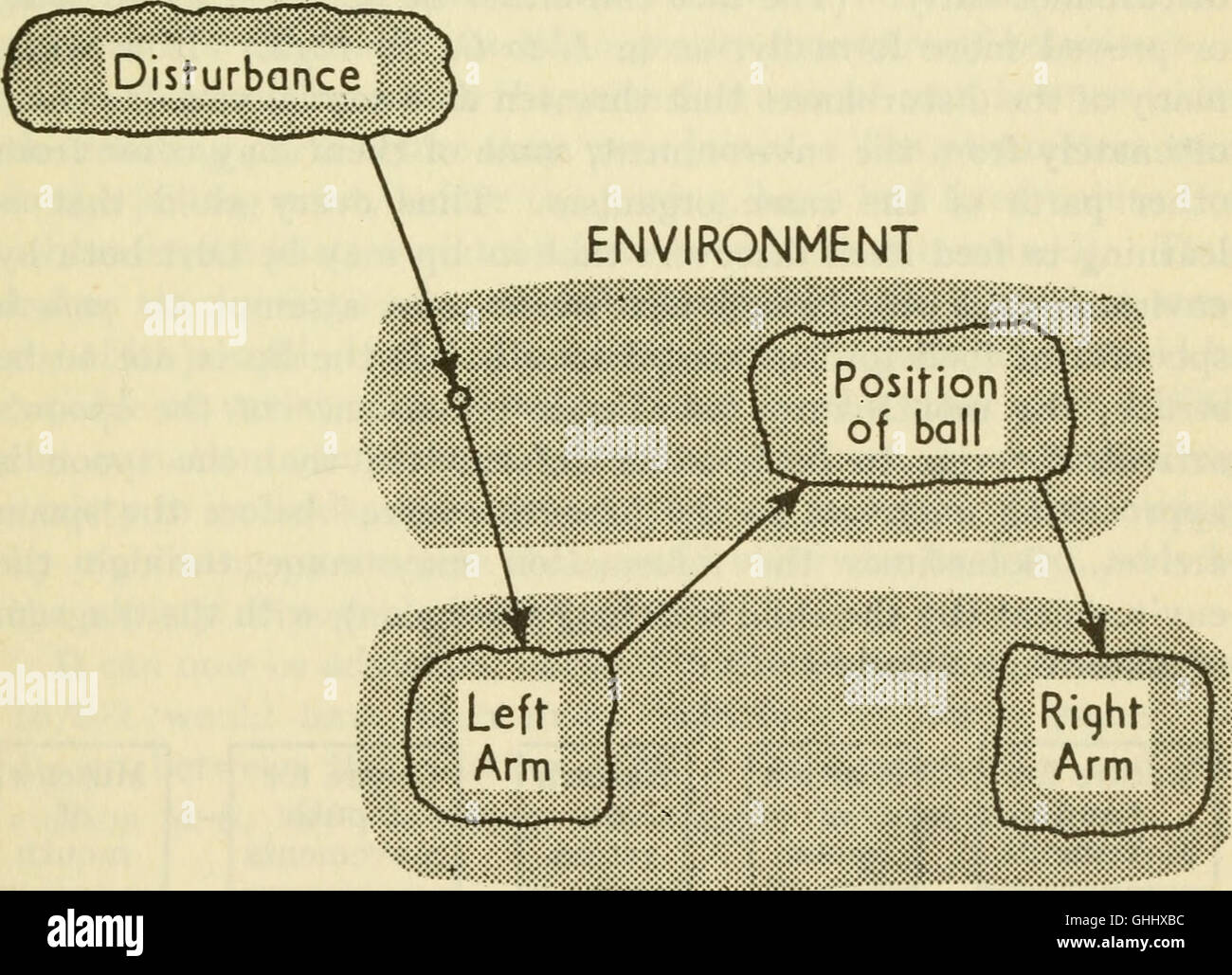 « Design for a Brain » (1960) discute des bases biologiques et psychologiques du comportement adaptatif, en se concentrant sur la façon dont la conception du cerveau soutient l'apprentissage et la réponse aux changements environnementaux. Banque D'Images