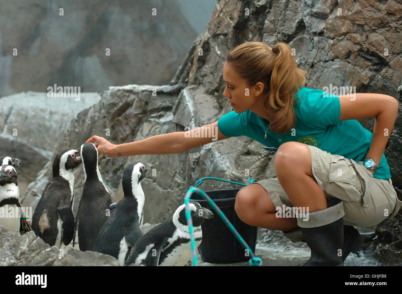 Der Glücksbringer/arbre à cames (Jessica Alba) Régie : Mark Helfrich aka. Bonne chance Chuck Banque D'Images