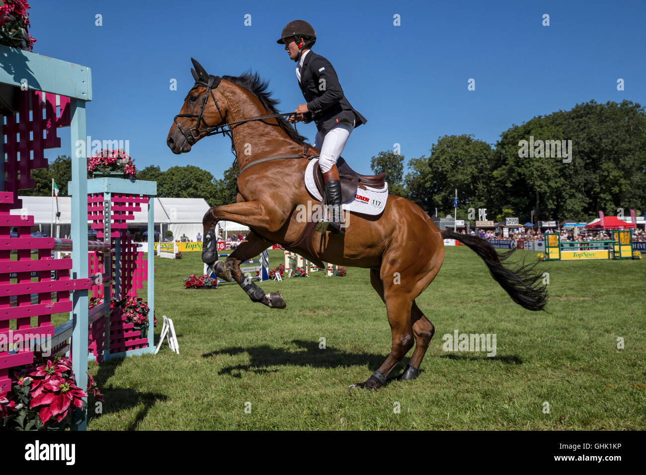 Tom McEwen sur Toledo de Kerser Banque D'Images