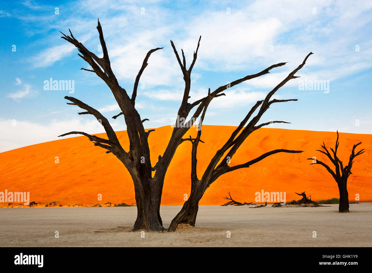 Arbres et dunes rouges dans le Dead Vlei, Sossusvlei, Namibie, concept pour le voyage en Afrique Banque D'Images