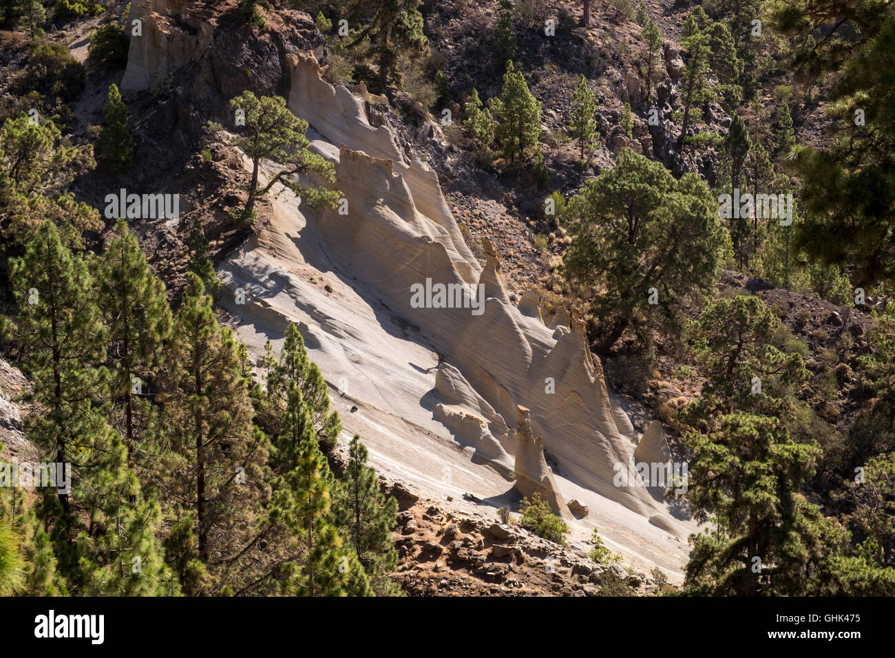 Paysage lunaire près de Vilaflor à Tenerife, Îles Canaries, Espagne Banque D'Images