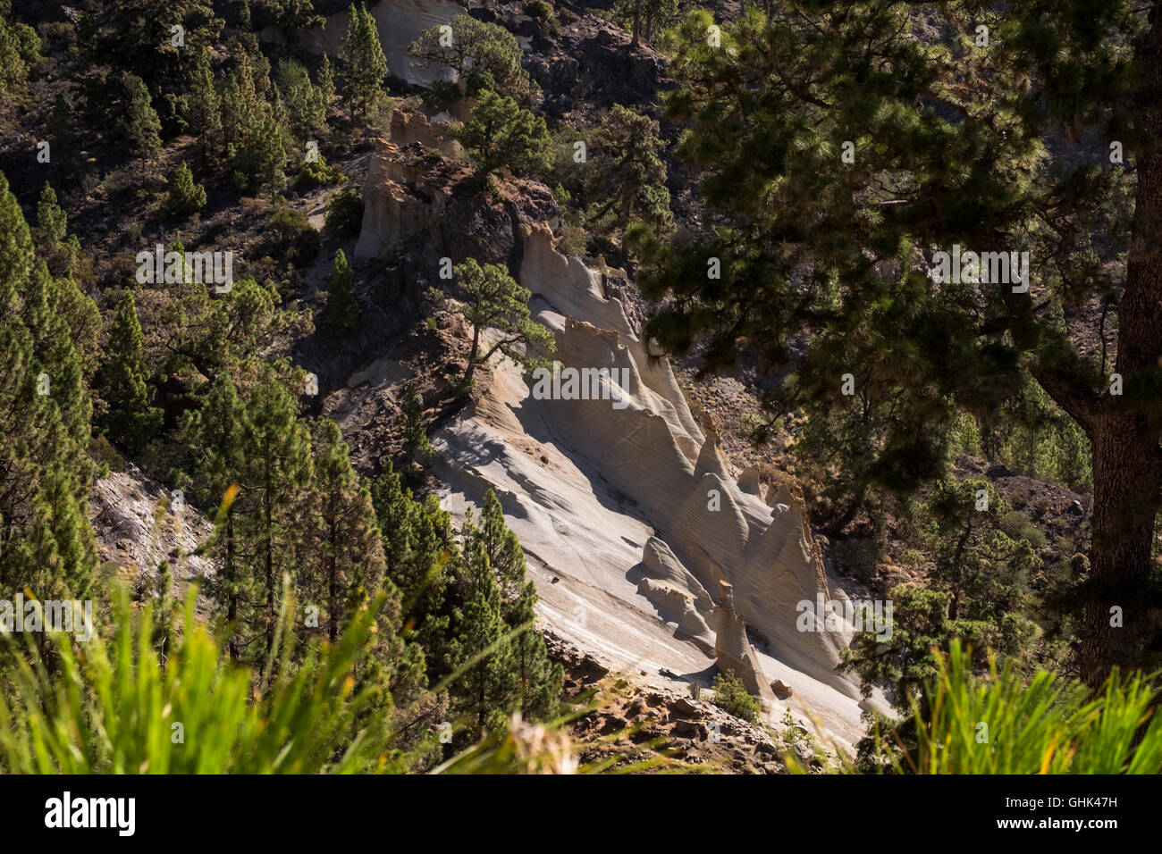 Paysage lunaire près de Vilaflor à Tenerife, Îles Canaries, Espagne Banque D'Images