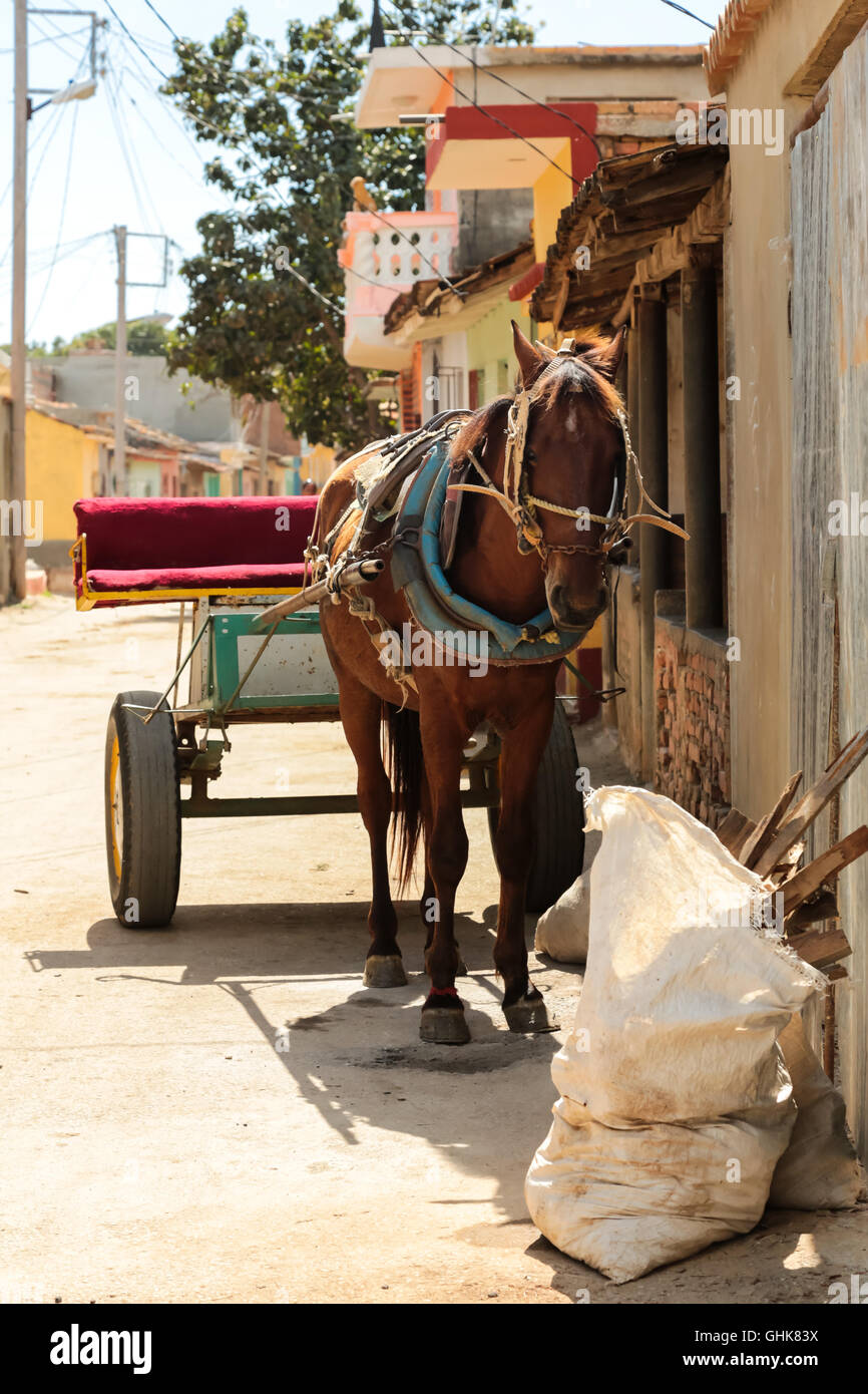 La calèche dans une rue de Trinidad, Cuba. Banque D'Images