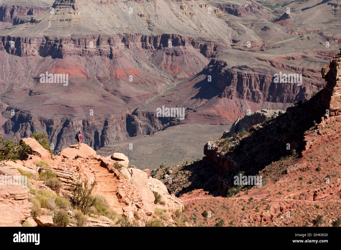 Le Parc National du Grand Canyon, Arizona - Un randonneur sur le sentier Kaibab Sud. Banque D'Images