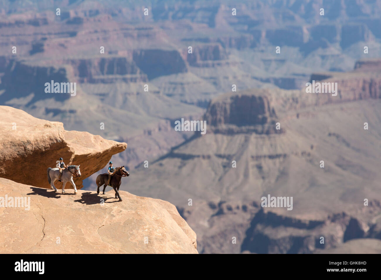 Le Parc National du Grand Canyon, Arizona - Toy Horses sur les rochers le long de la South Kaibab Trail. Banque D'Images