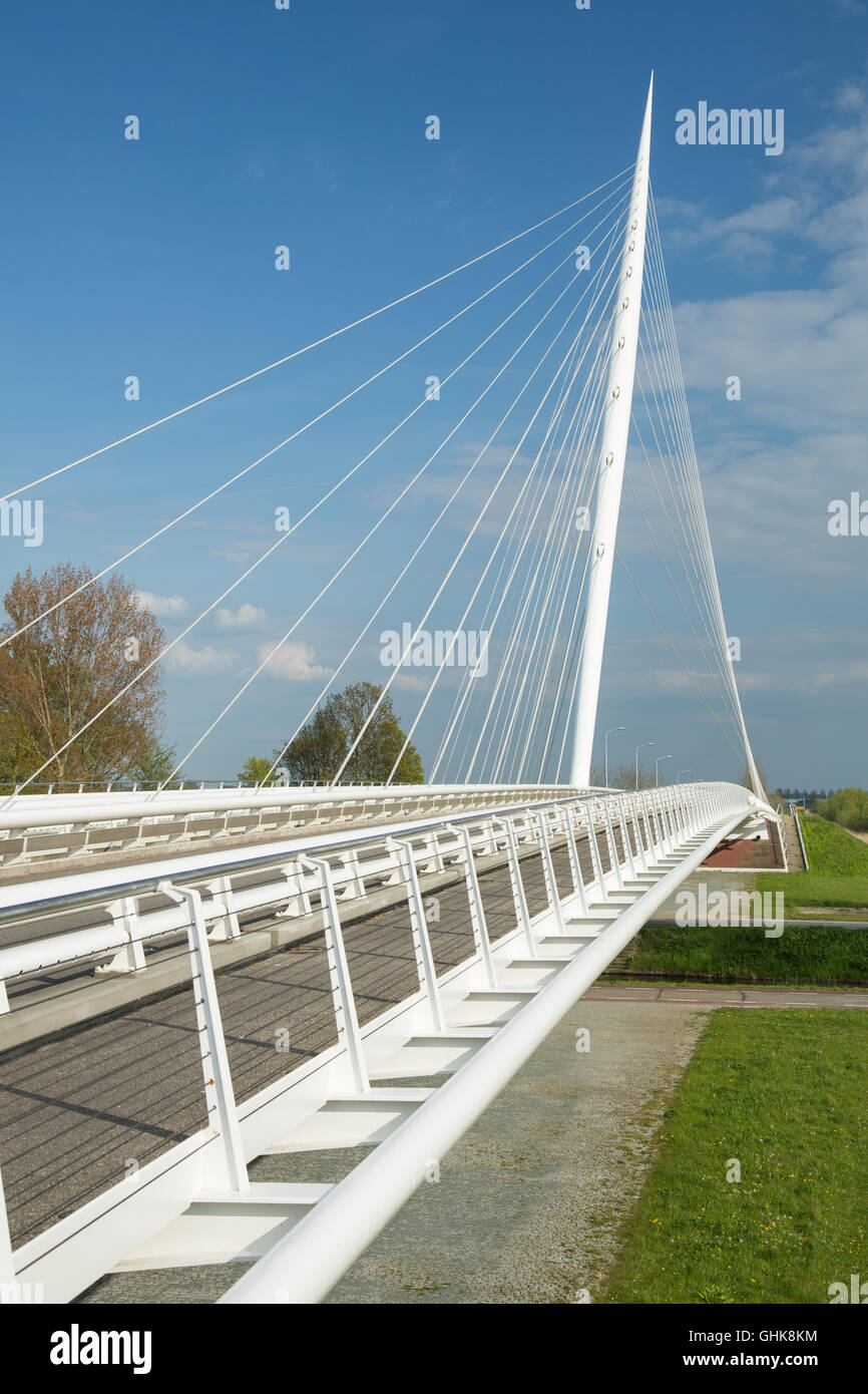 Pont Calatrava harpe est l'un des trois ponts de l'Haarlemmermeer, Pays-Bas Banque D'Images