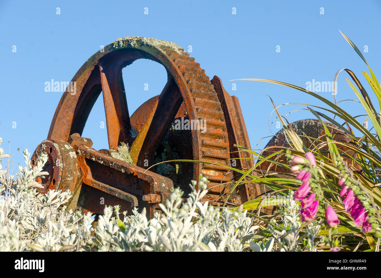 Grande roue dentée, chemin de randonnée Mangatepopo, Parc National de Tongariro, île du Nord, Nouvelle-Zélande Banque D'Images