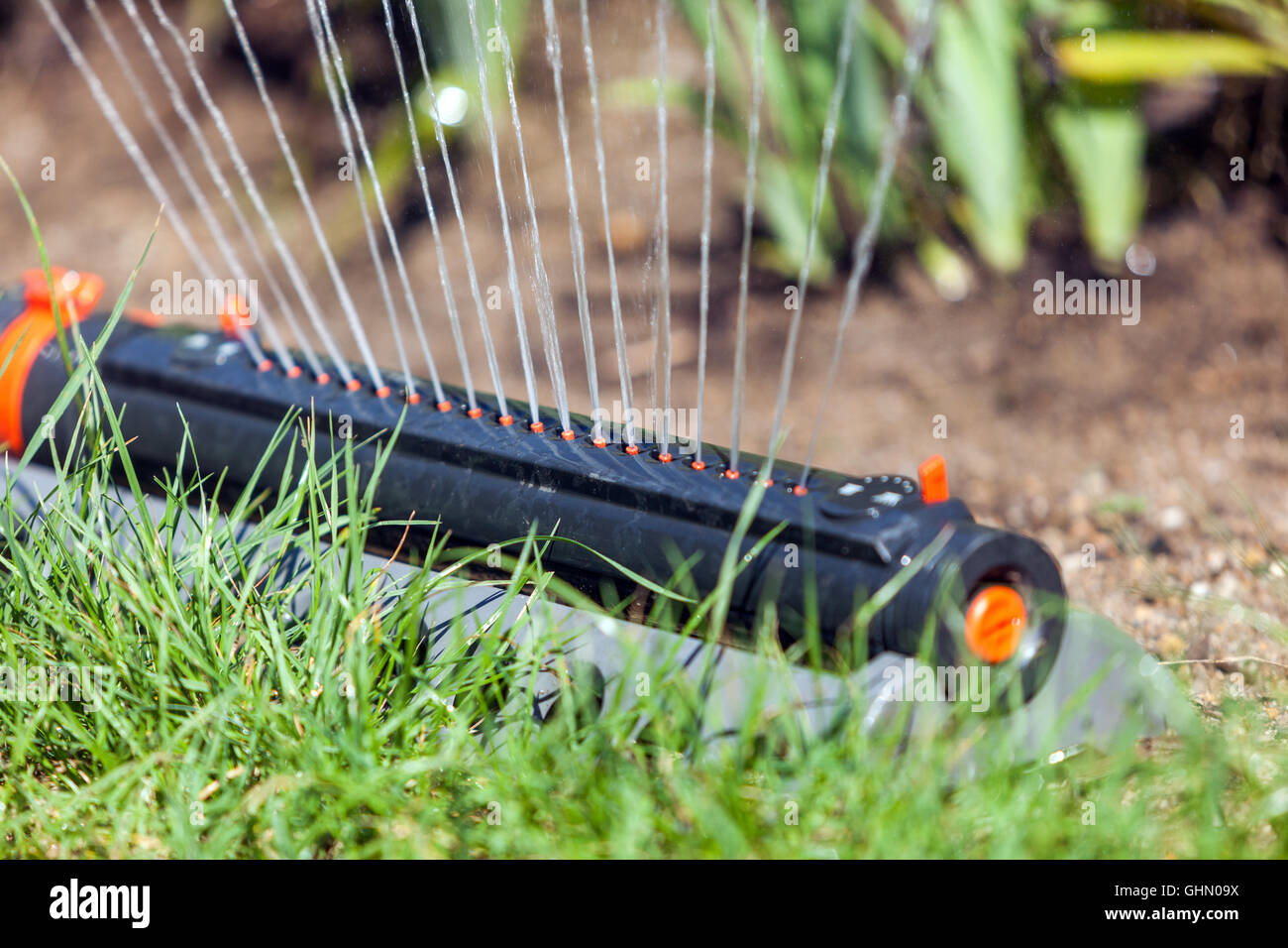 Arroseur d'eau irriguant une pelouse de jardin arroser une petite pelouse de jardin en été Banque D'Images
