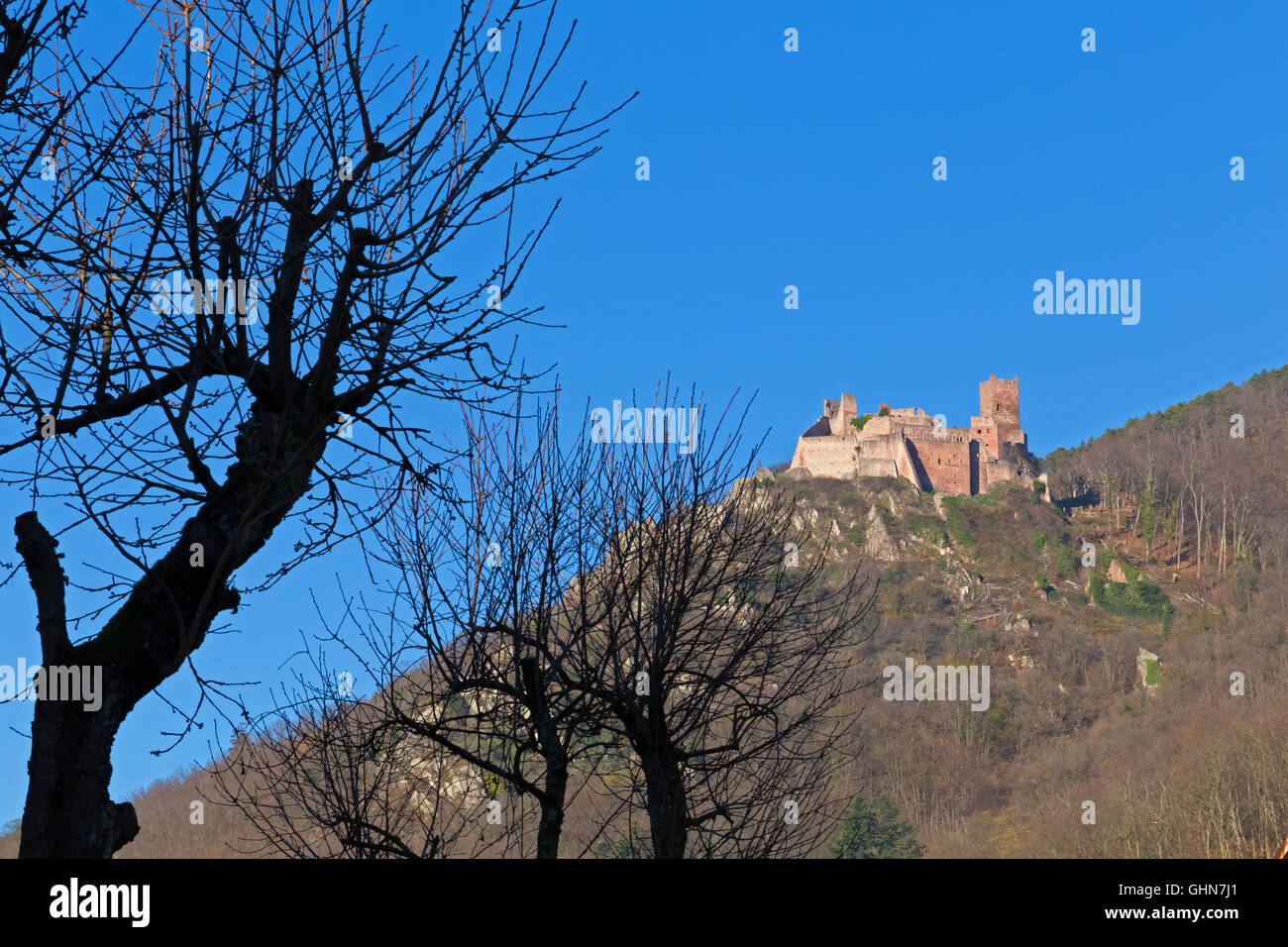 Château Saint Ulrich, la Route des Vins d'Alsace, Ribeauvillé, France. Banque D'Images