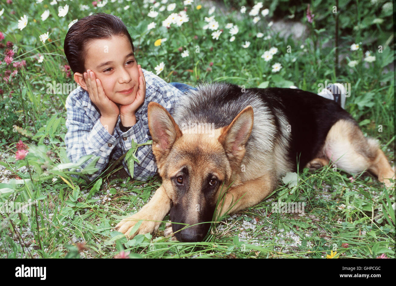 Baby Rex - Der kleine Kommissar Rex wächst mit dem achtjährigen Benny (RAPHAEL GHOBADLOO) dans un idylllischen Bergdorf auf. Gemeinsam erleben Sie auf dem Land und später dans Wien viele Abenteuer. Regie : Oliver Hirschbiegel Banque D'Images
