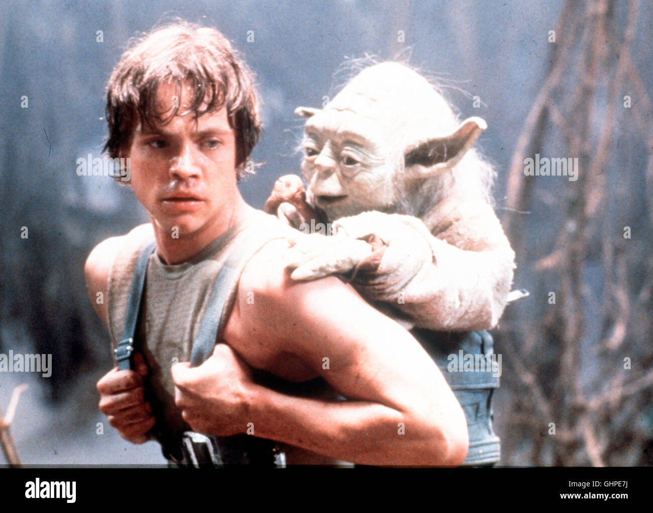 Das Imperium propose zurück l'Empire contre-attaque Nach der Angriff dem Sternenflotte imperialen können Han Solo et Leia fliehen ; Luke Skywalker fliegt ins Dagobah-System - dort s er sich vom weisen Jedi-Ritter im Gebrauch der Yoda 'Macht' unterweisen lassen. Als Han Solo et Leia von gefangengenommen Darth Vader, eilt werden ihnen Luc zu Hilfe. Voir mit Luke Skywalker (Mark Hamill) und Meister Yoda Regie : Irvin Kershner aka. L'Empire contre-attaque Banque D'Images